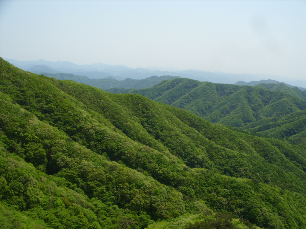 ǻ굵 ģȯ ǰ  õ