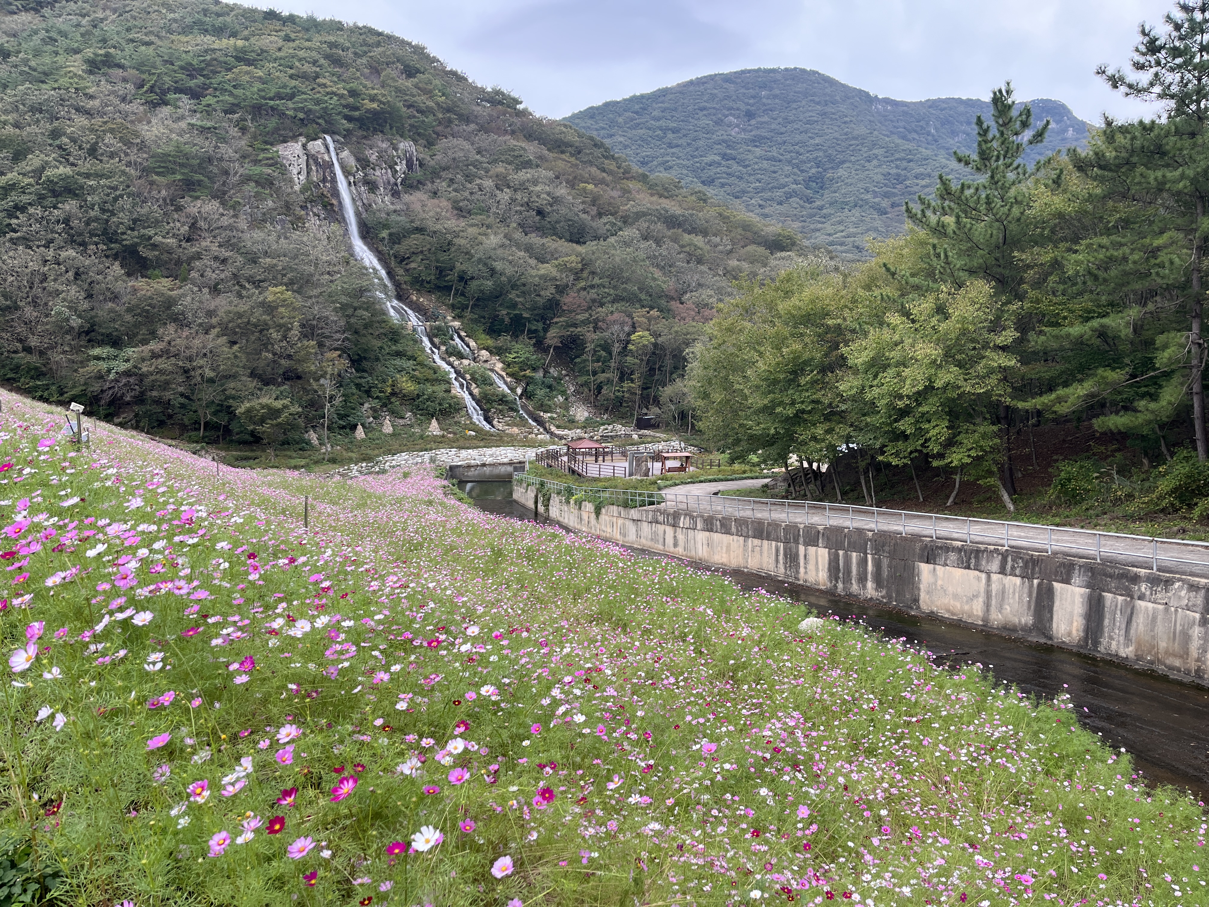 ǳ ڽ𽺰 췯 ,    α