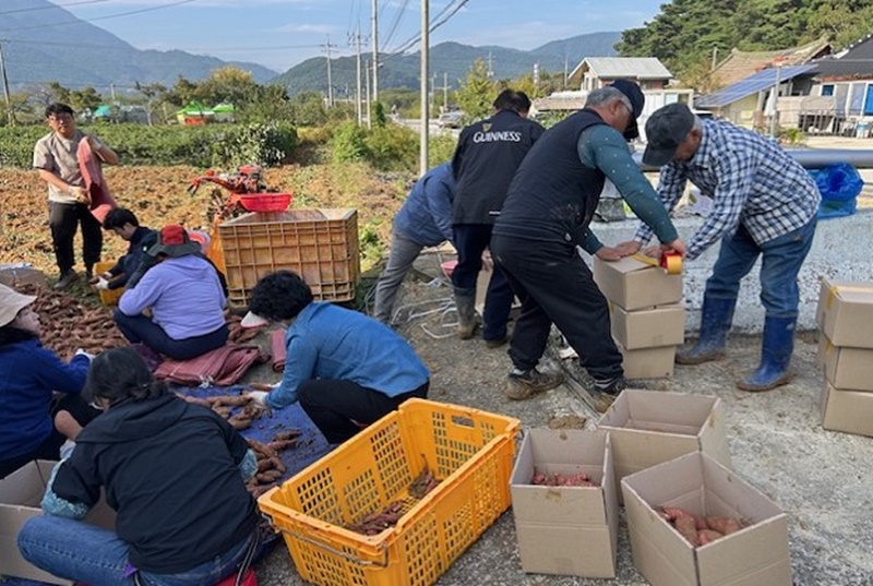  , 'ູ Թ'  550kg Ȯ ̿ õ