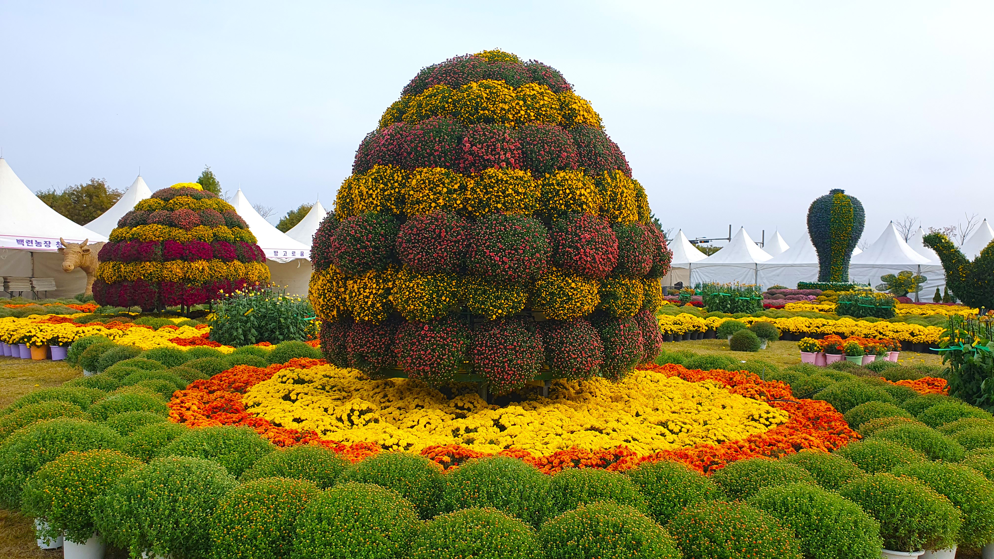  ʹ 11 ض㸶  15ȸ ξȰ ȭ ȸ 