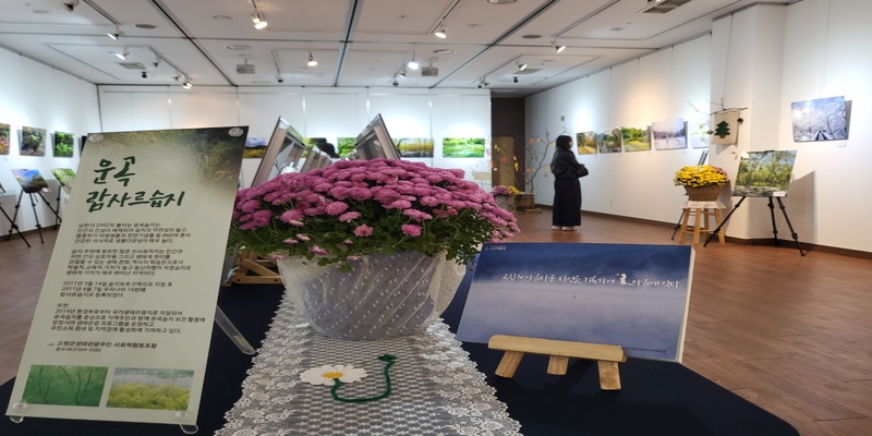 â, 縣 8   ° ñ ֿ 