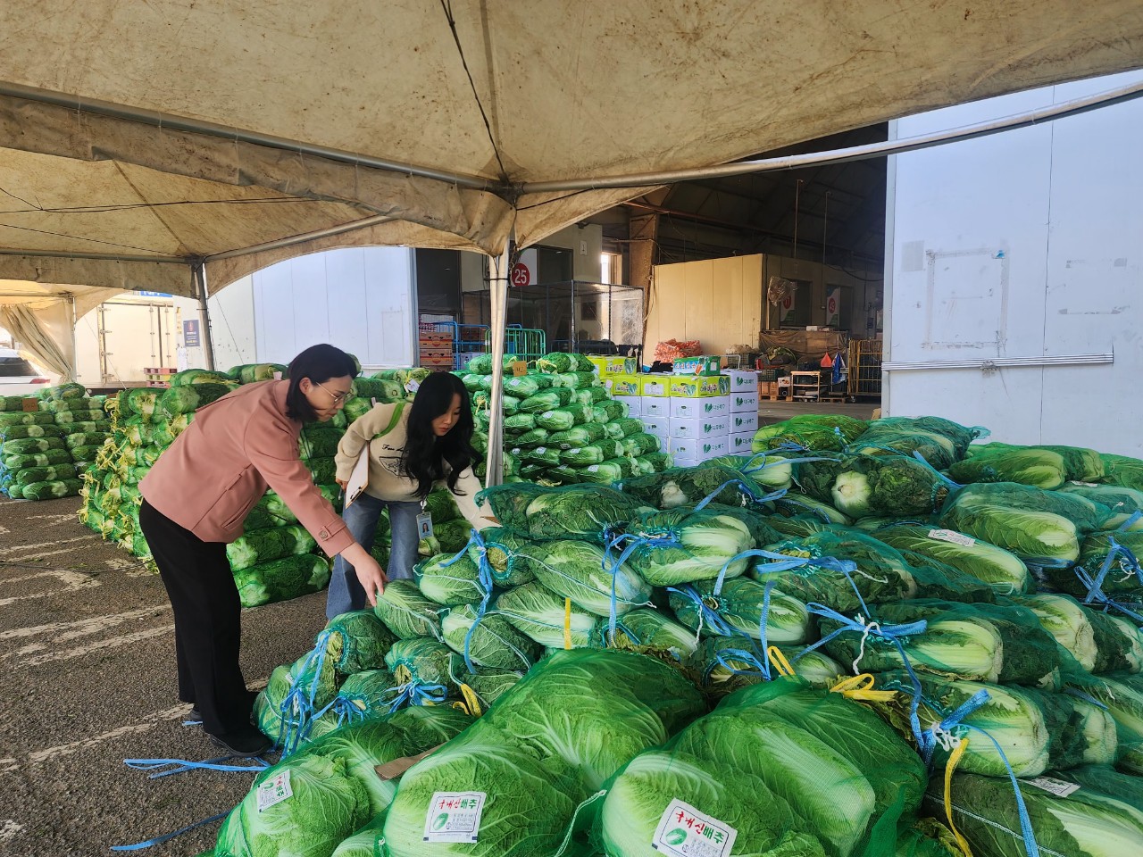  , Ƚϰ ׼䡯 ġ, ä ܷ  ˻ ǽ