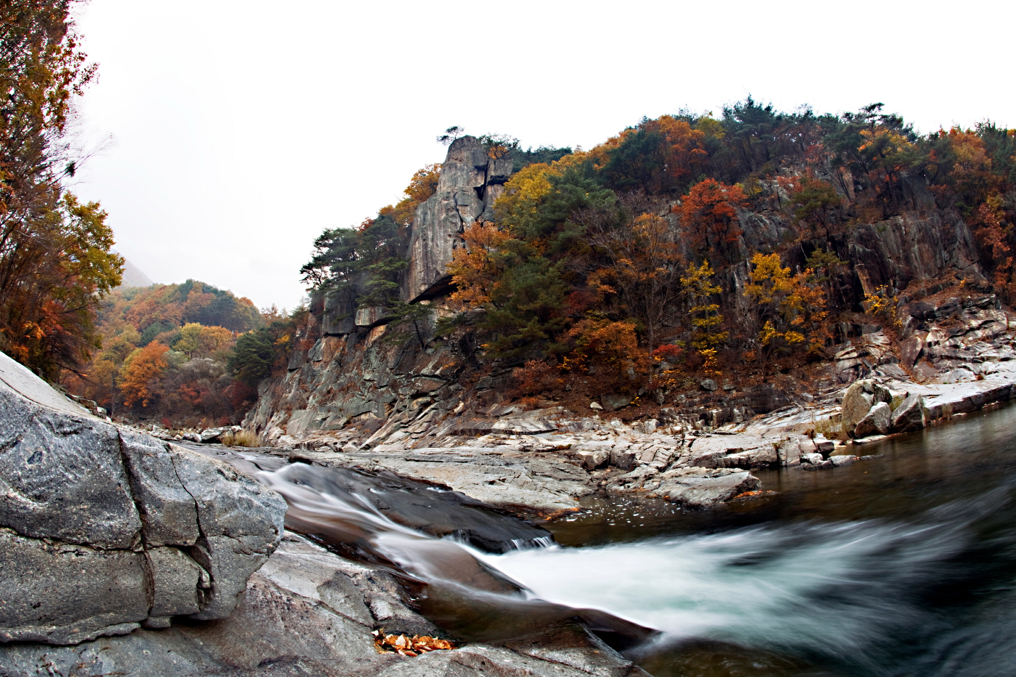  ֡õ ڿǰ桯, 2025 ѹα  