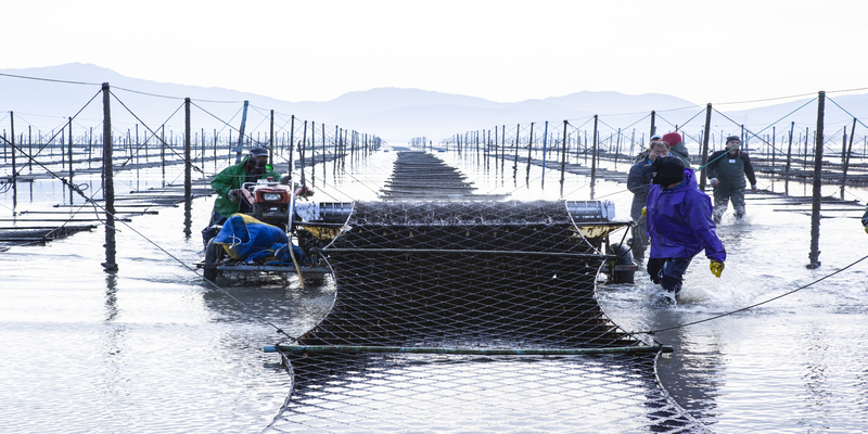 400  Ȱ! â  ֽ 衯 ù Ȯ 