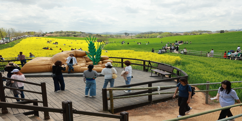 α 5 â, 2025 5 Ȱα 42,   7  