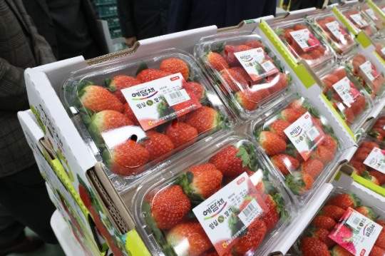 ���絵 ����, ���� ��ö���ӽ�N����, ���� ���� ���� ����